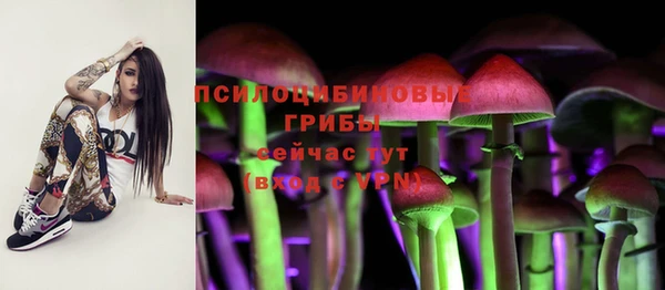 таблы Богородск
