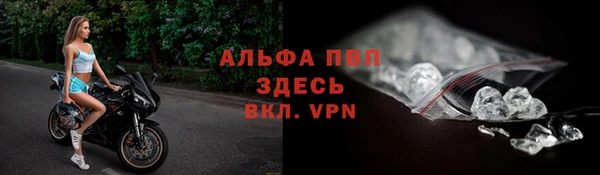 прущие грибы Липки