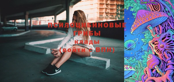 таблы Богородск