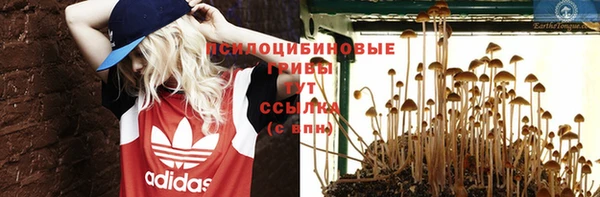 амфетамин Богданович
