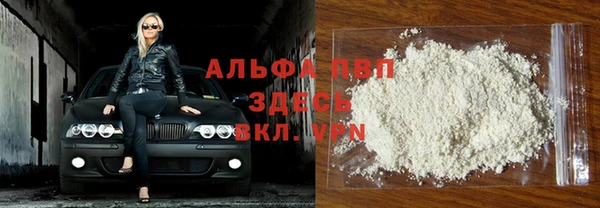 прущие грибы Лиски